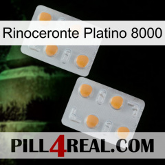 Rhino Platinum 8000 25